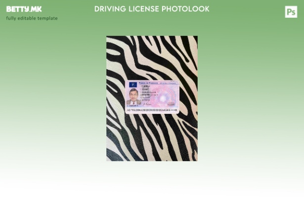 Модерен стил Франција DL photolook ФРОНТ шаблон